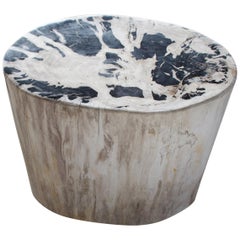 Andrianna Shamaris Oval Contrasting Toned Petrified Wood Side Table