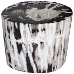 Antique Andrianna Shamaris Oval Contrasting Toned Petrified Wood Side Table