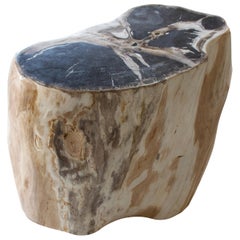 Andrianna Shamaris Oval High Quality Petrified Wood Side Table