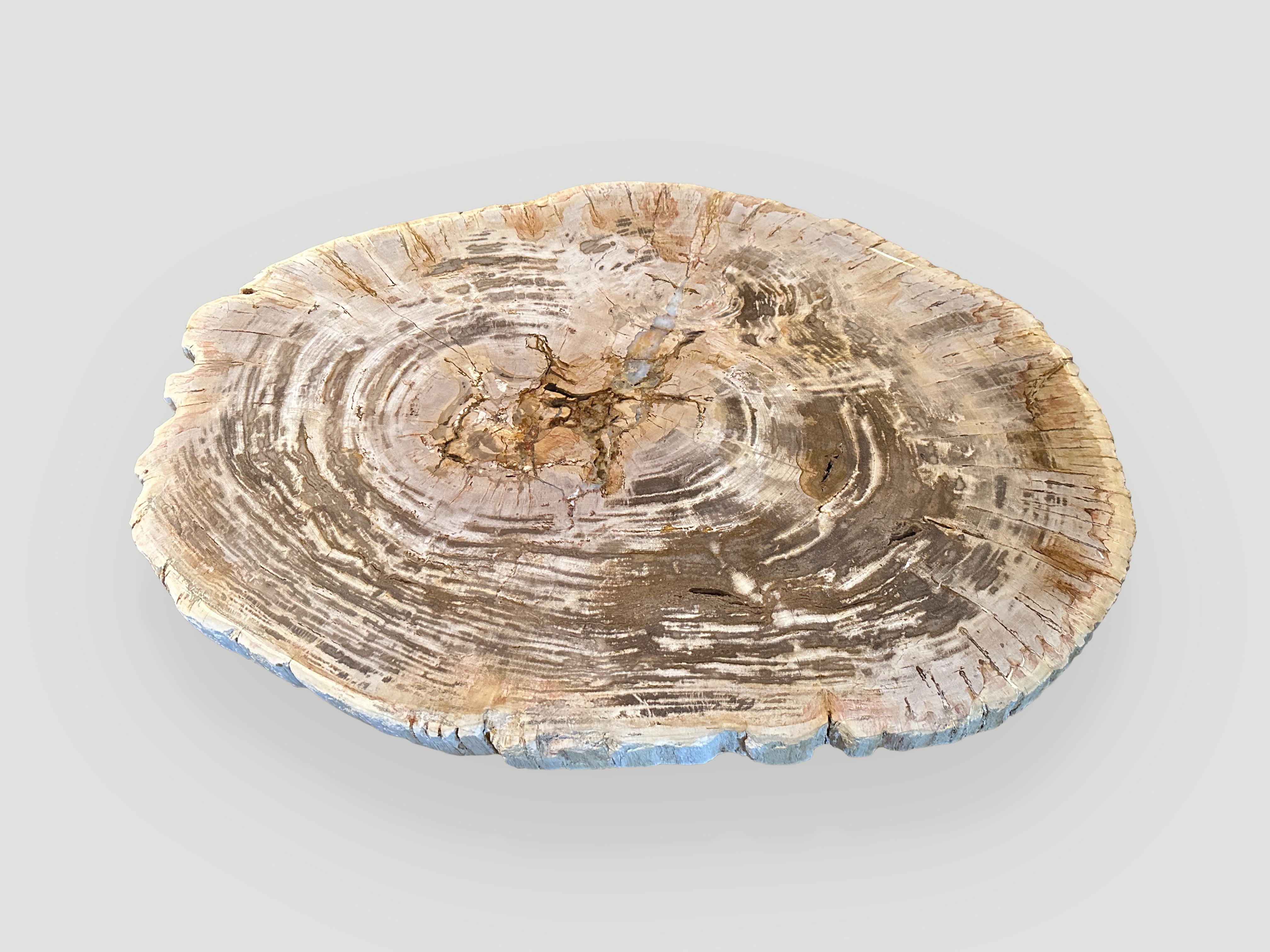 Impressive two inch thick, high quality petrified wood slab coffee table, resting on an organic white washed base. It’s fascinating how Mother Nature produces these stunning 40 million year old petrified teak logs with such contrasting colors and