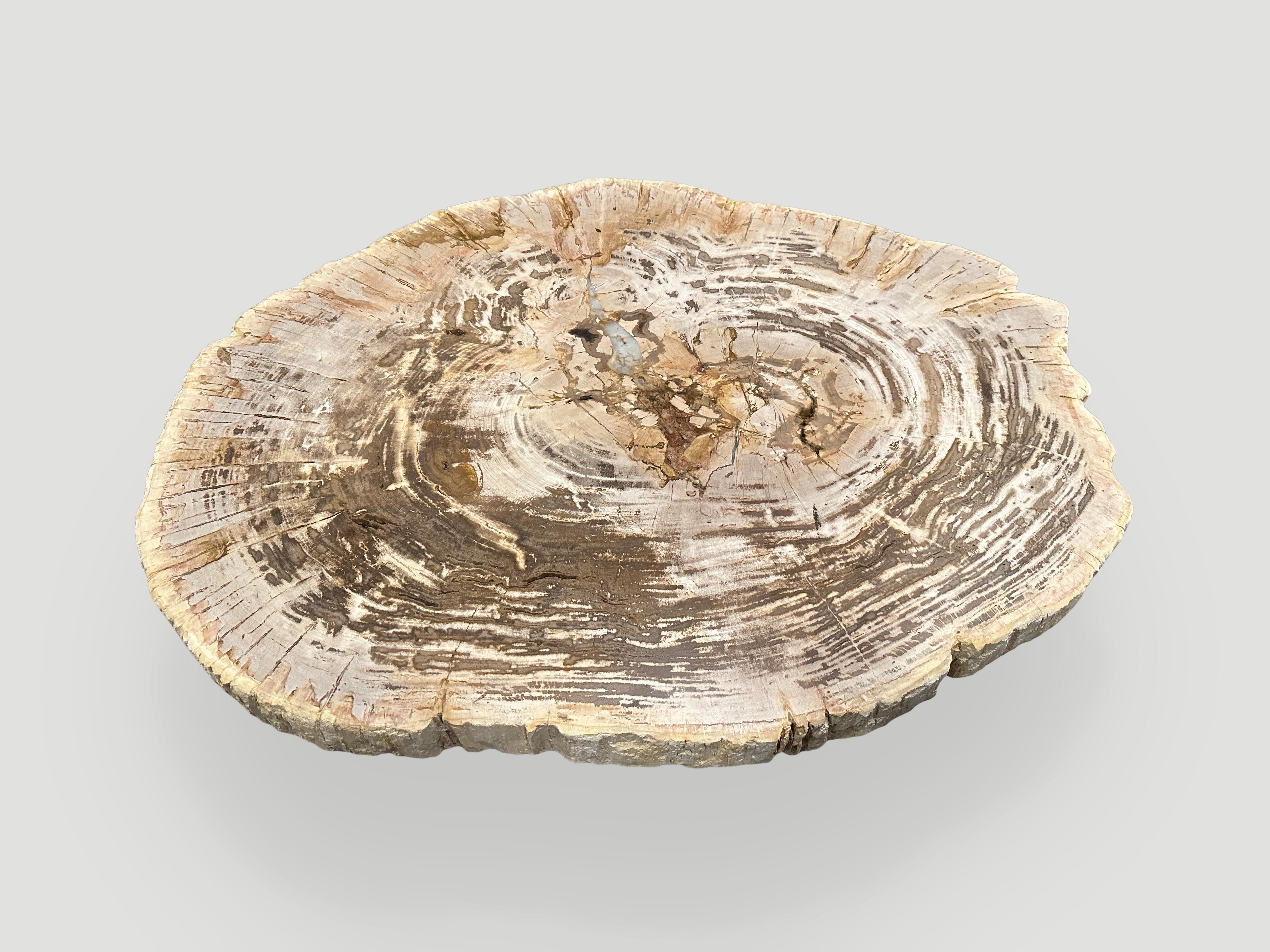 Impressive two inch thick, high quality petrified wood slab coffee table, resting on an organic white washed base. It’s fascinating how Mother Nature produces these stunning 40 million year old petrified teak logs with such contrasting colors and