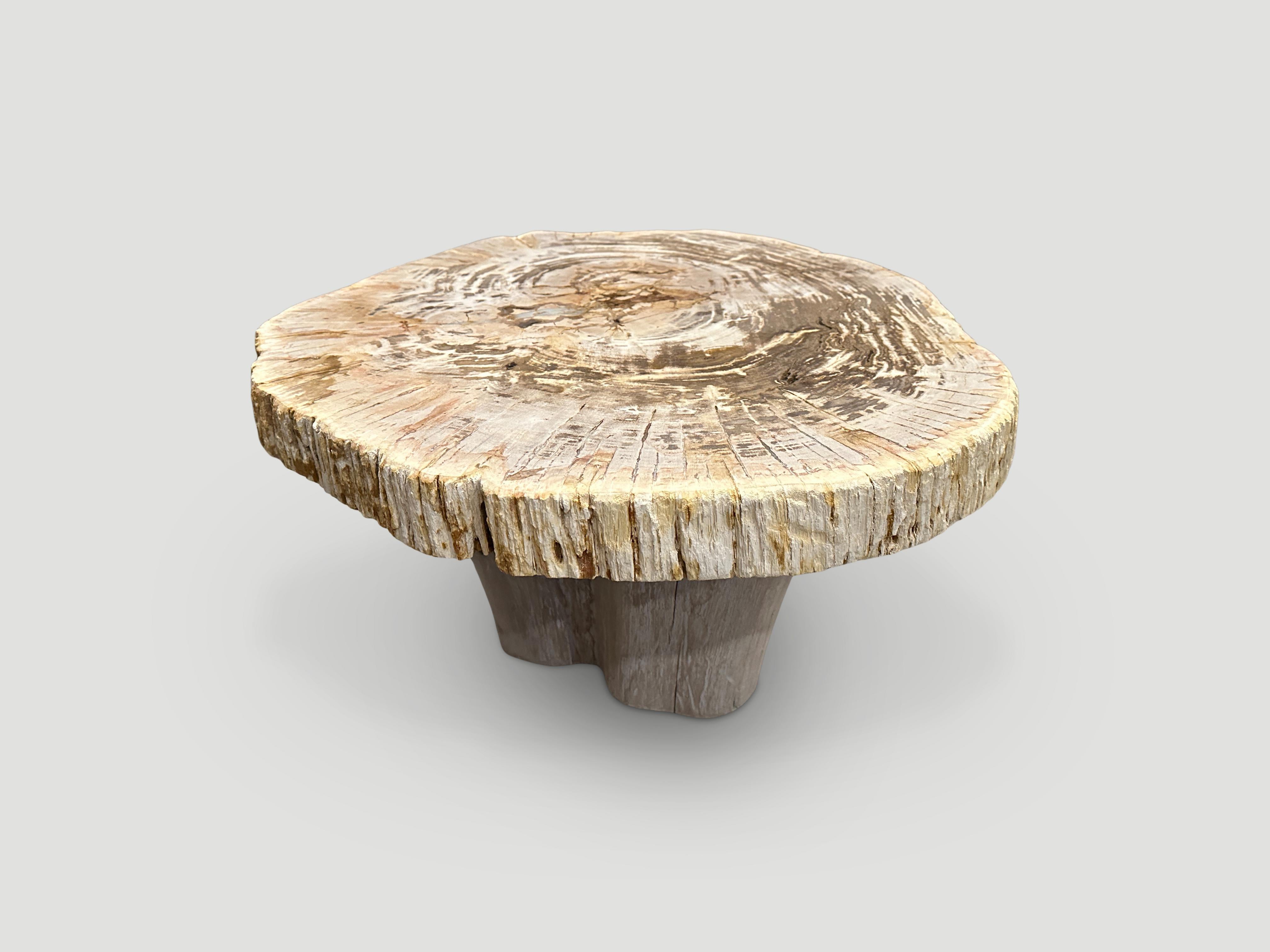 Organic Modern Andrianna Shamaris Oval Petrified Wood Coffee Table with an Organic Teak Base For Sale