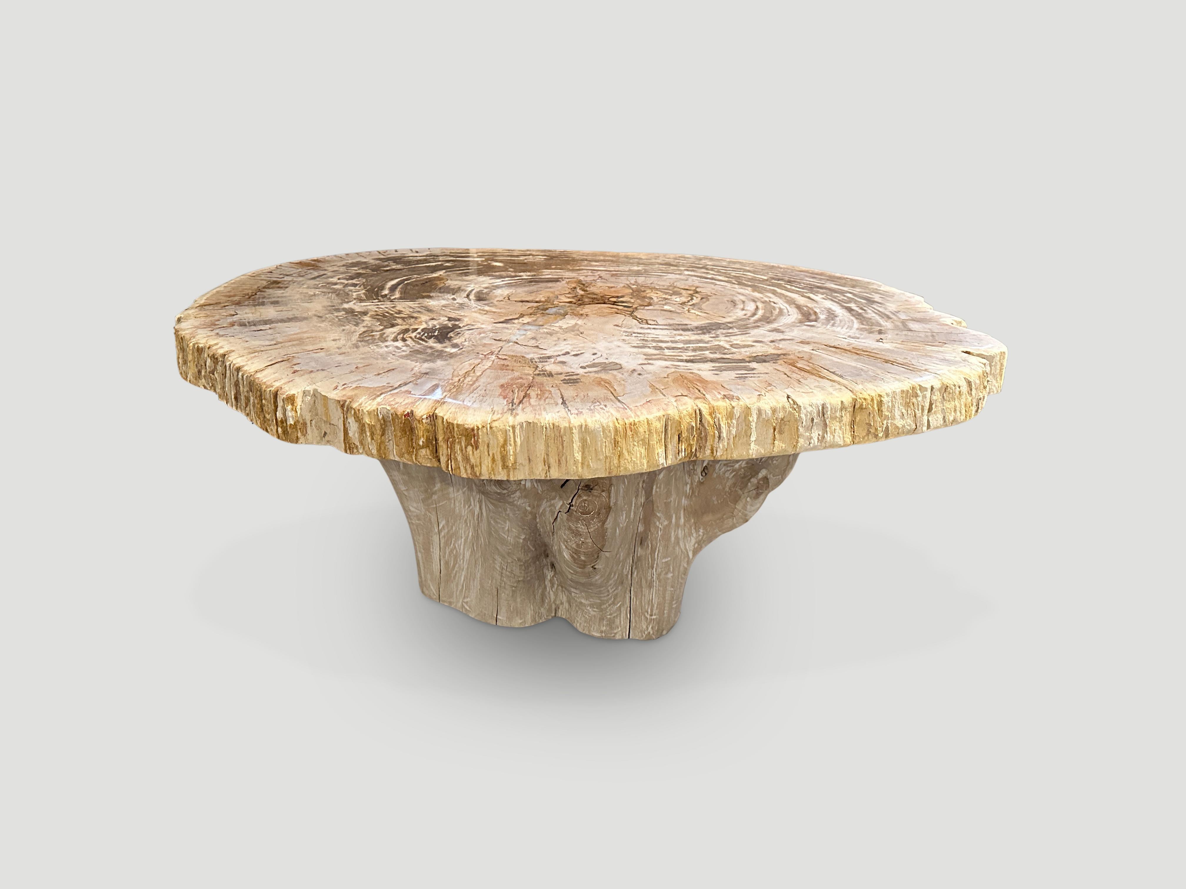 Andrianna Shamaris Oval Petrified Wood Coffee Table with an Organic Teak Base In Excellent Condition In New York, NY