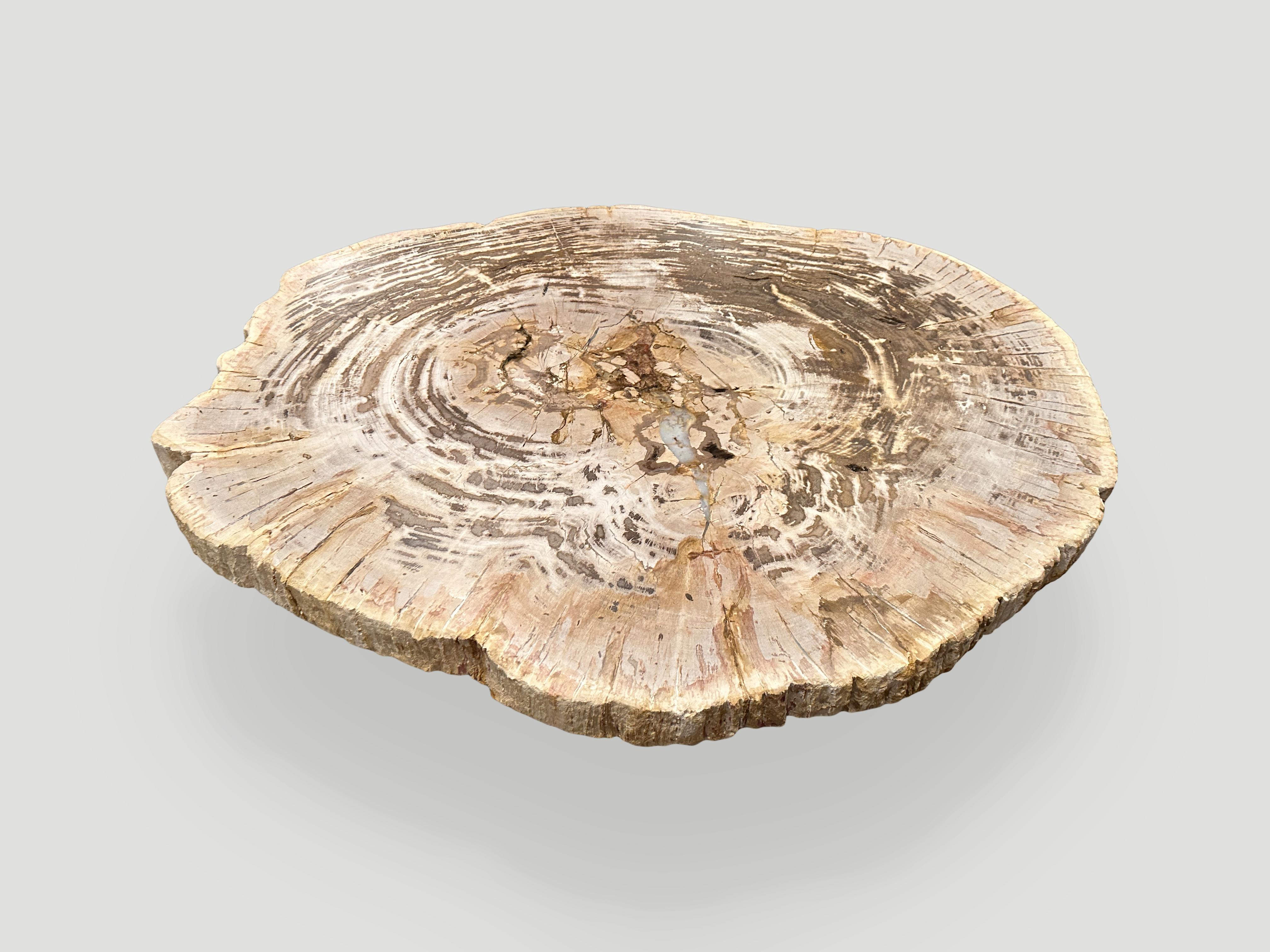 Andrianna Shamaris Oval Petrified Wood Coffee Table with an Organic Teak Base In Excellent Condition For Sale In New York, NY