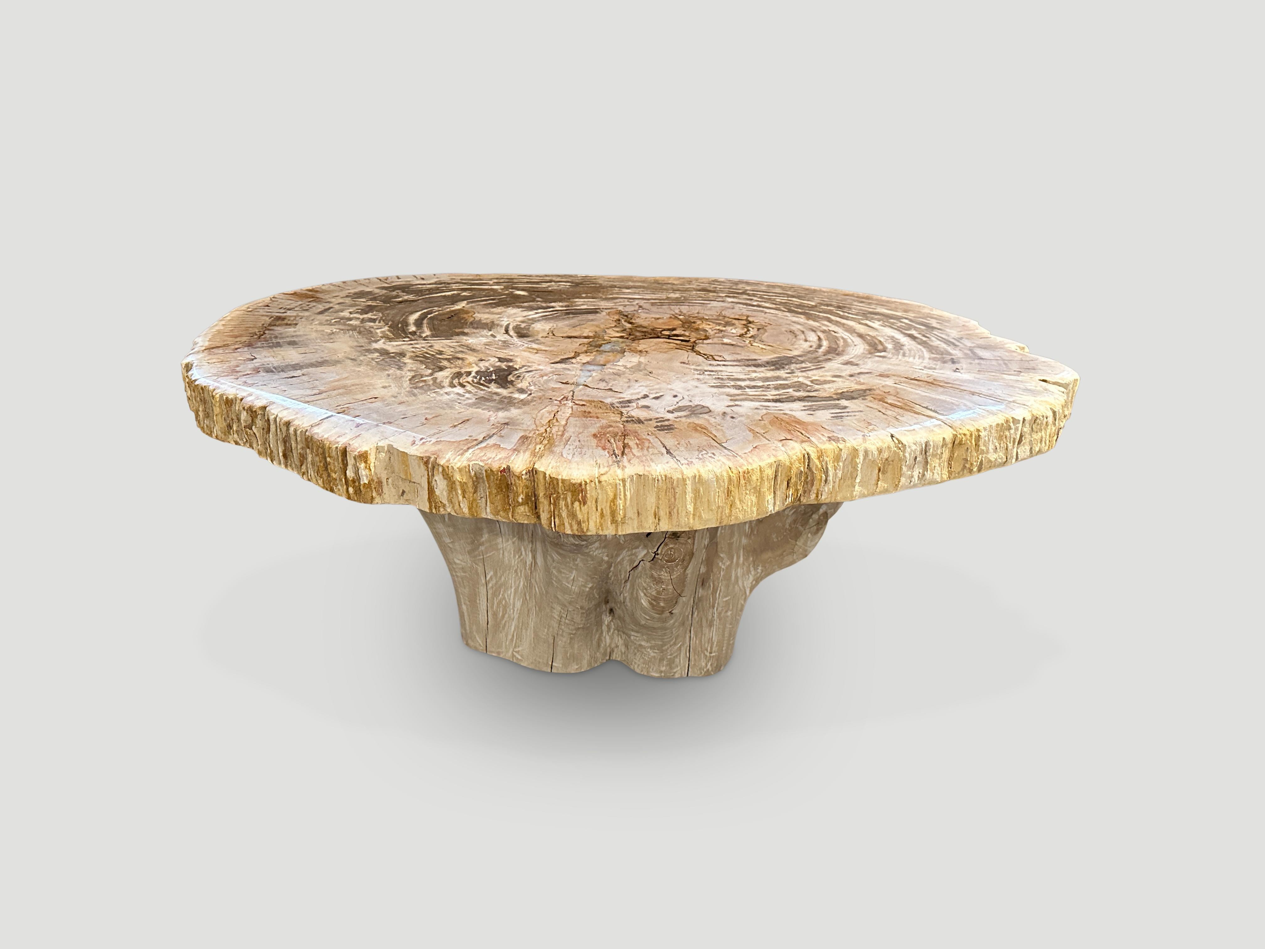 Contemporary Andrianna Shamaris Oval Petrified Wood Coffee Table with an Organic Teak Base