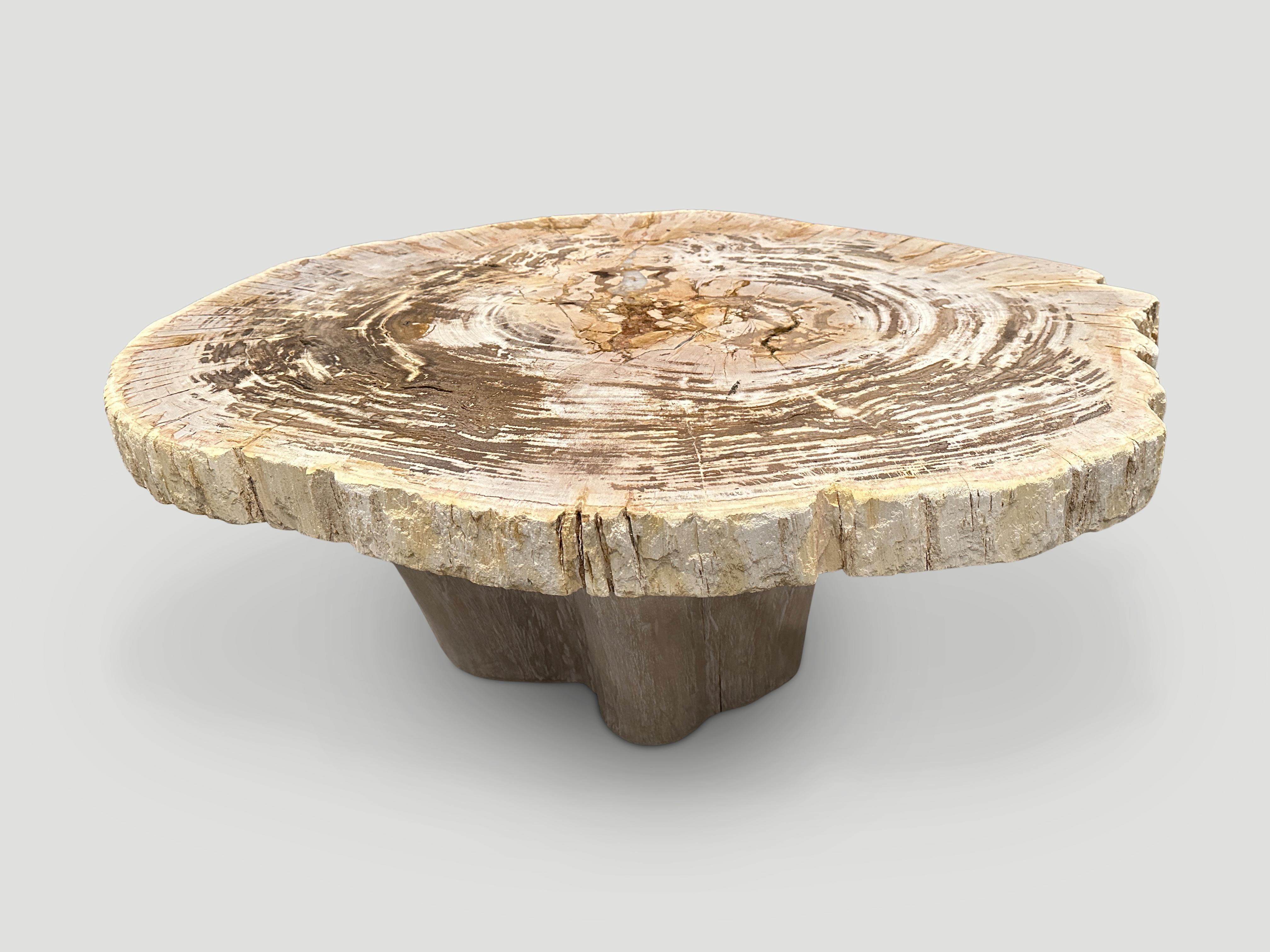 Contemporary Andrianna Shamaris Oval Petrified Wood Coffee Table with an Organic Teak Base For Sale