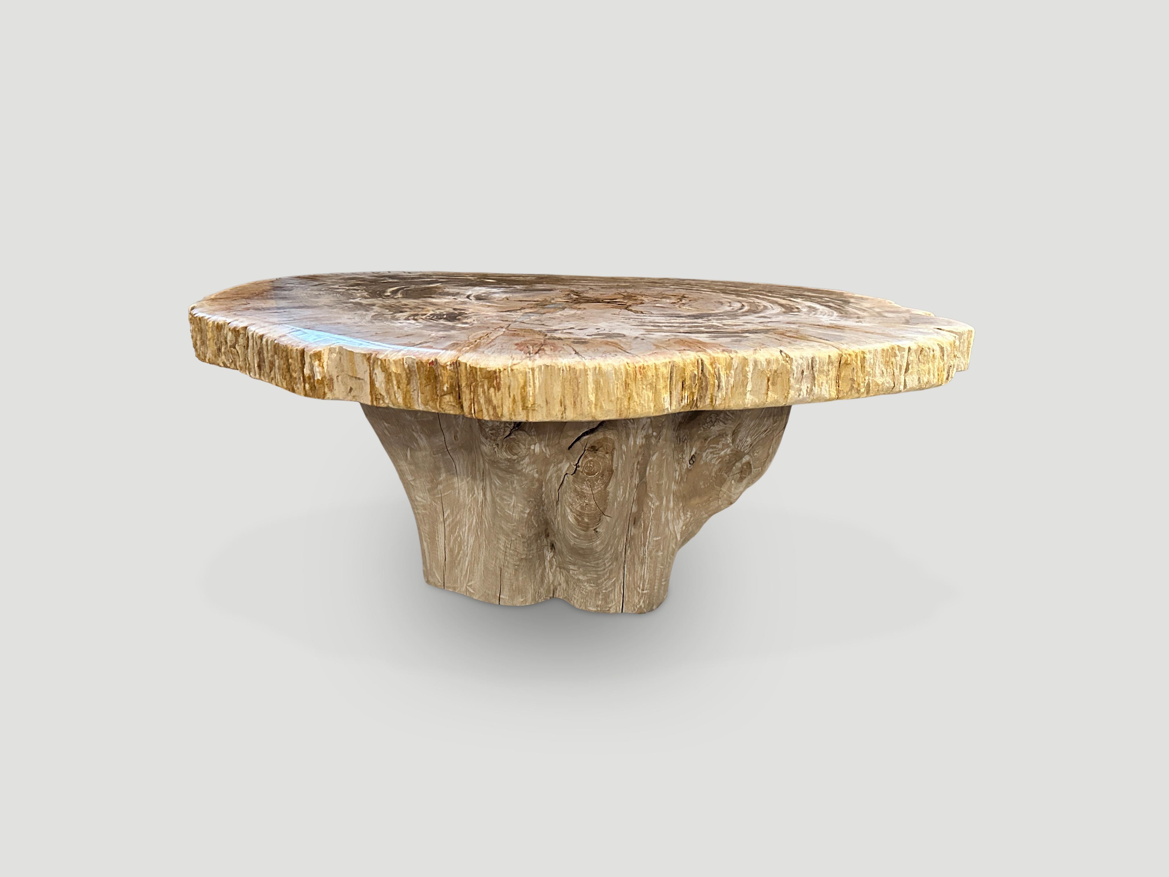 Andrianna Shamaris Oval Petrified Wood Coffee Table with an Organic Teak Base 1