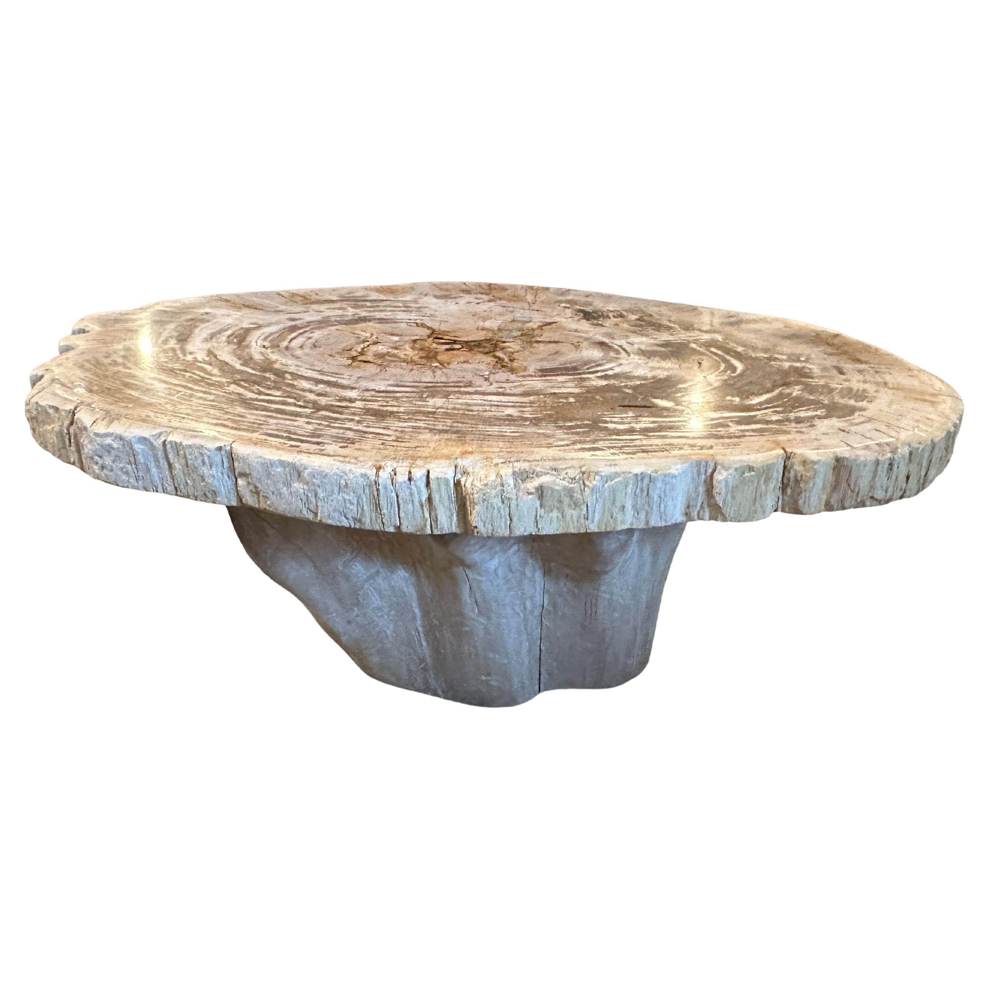 Andrianna Shamaris Oval Petrified Wood Coffee Table with an Organic Teak Base