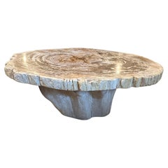Andrianna Shamaris Oval Petrified Wood Coffee Table with an Organic Teak Base