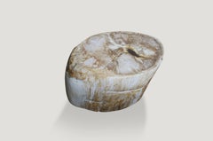Andrianna Shamaris Oval Petrified Wood Side Table