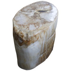 Antique Andrianna Shamaris Oval Petrified Wood Side Table