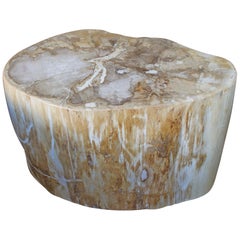 Andrianna Shamaris Oval Petrified Wood Side Table