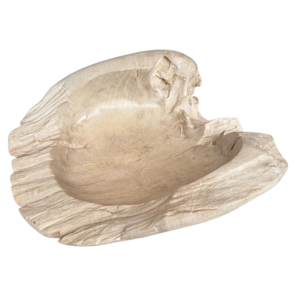Andrianna Shamaris Over Sized Bleached Sculptural Teak Wood Vessel