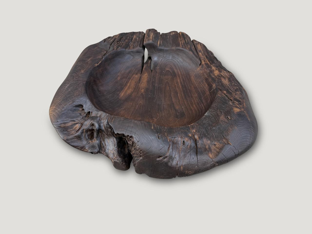 Organico moderno Andrianna Shamaris Vaso scultoreo in legno di teak carbonizzato di dimensioni eccessive in vendita