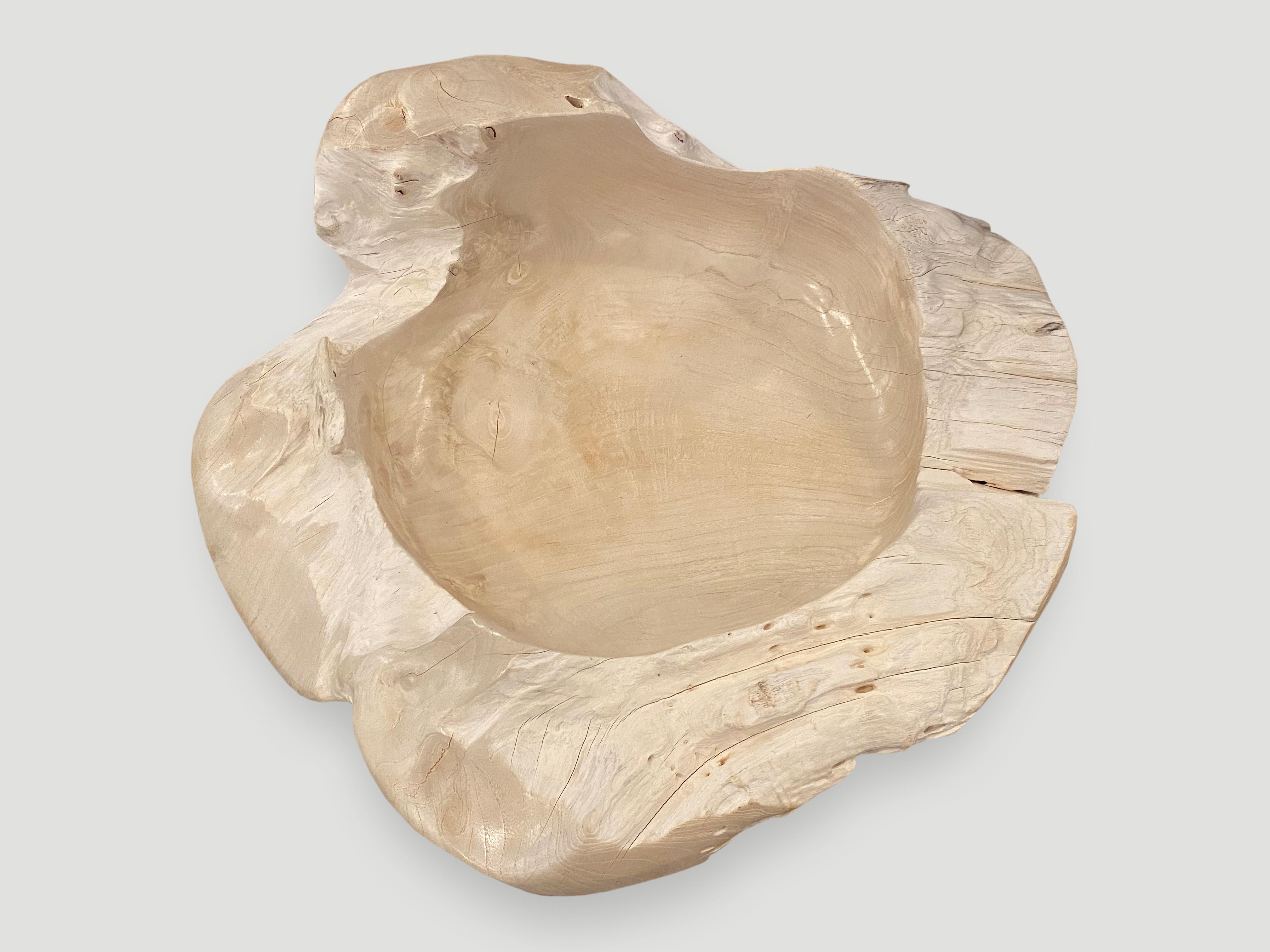 Organic Modern Andrianna Shamaris Oversized Bleached Sculptural Teak Wood Vessel