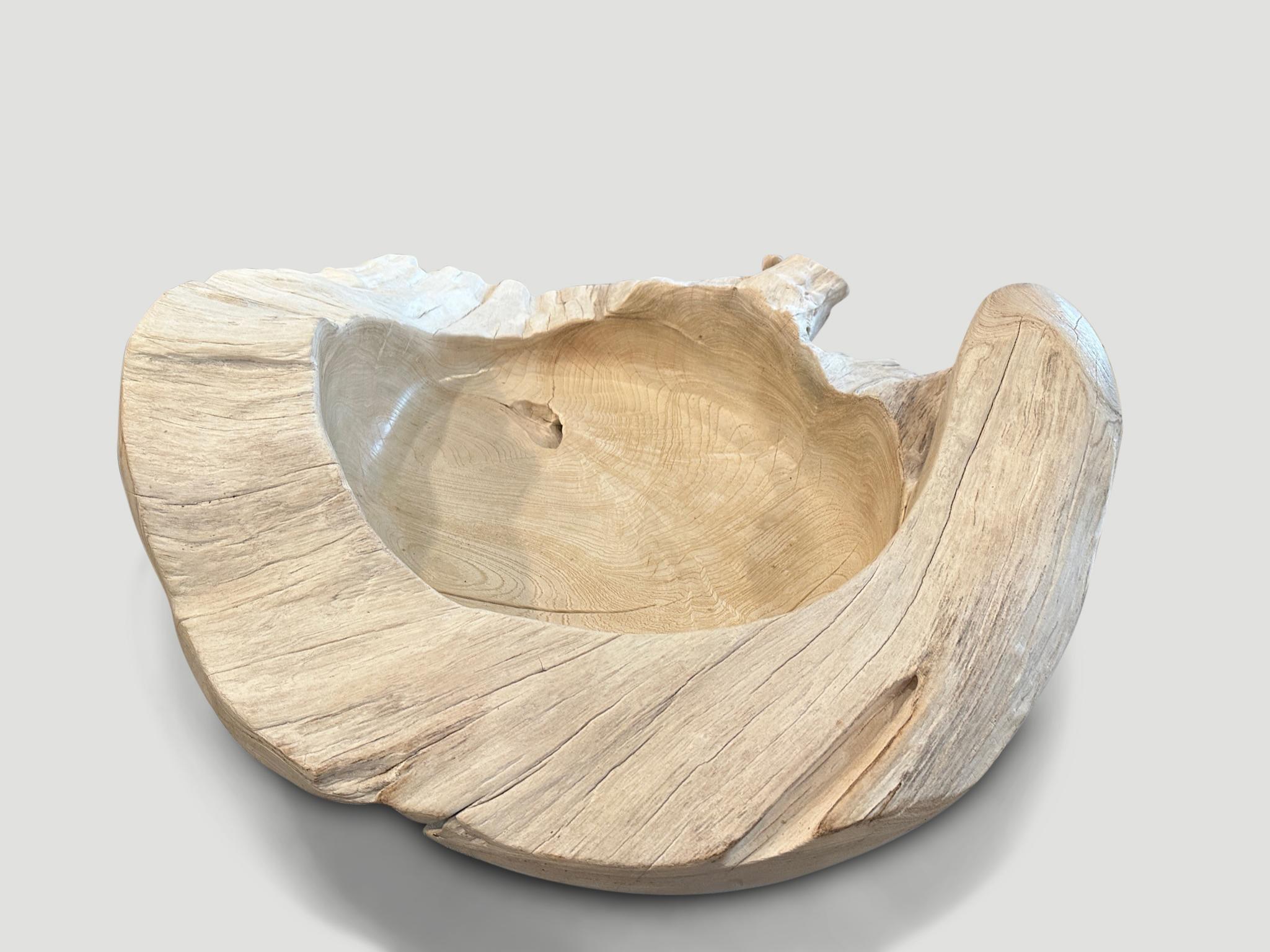 Organic Modern Andrianna Shamaris Oversized Bleached Sculptural Teak Wood Vessel For Sale