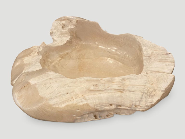 Contemporary Andrianna Shamaris Oversized Bleached Sculptural Teak Wood Vessel For Sale