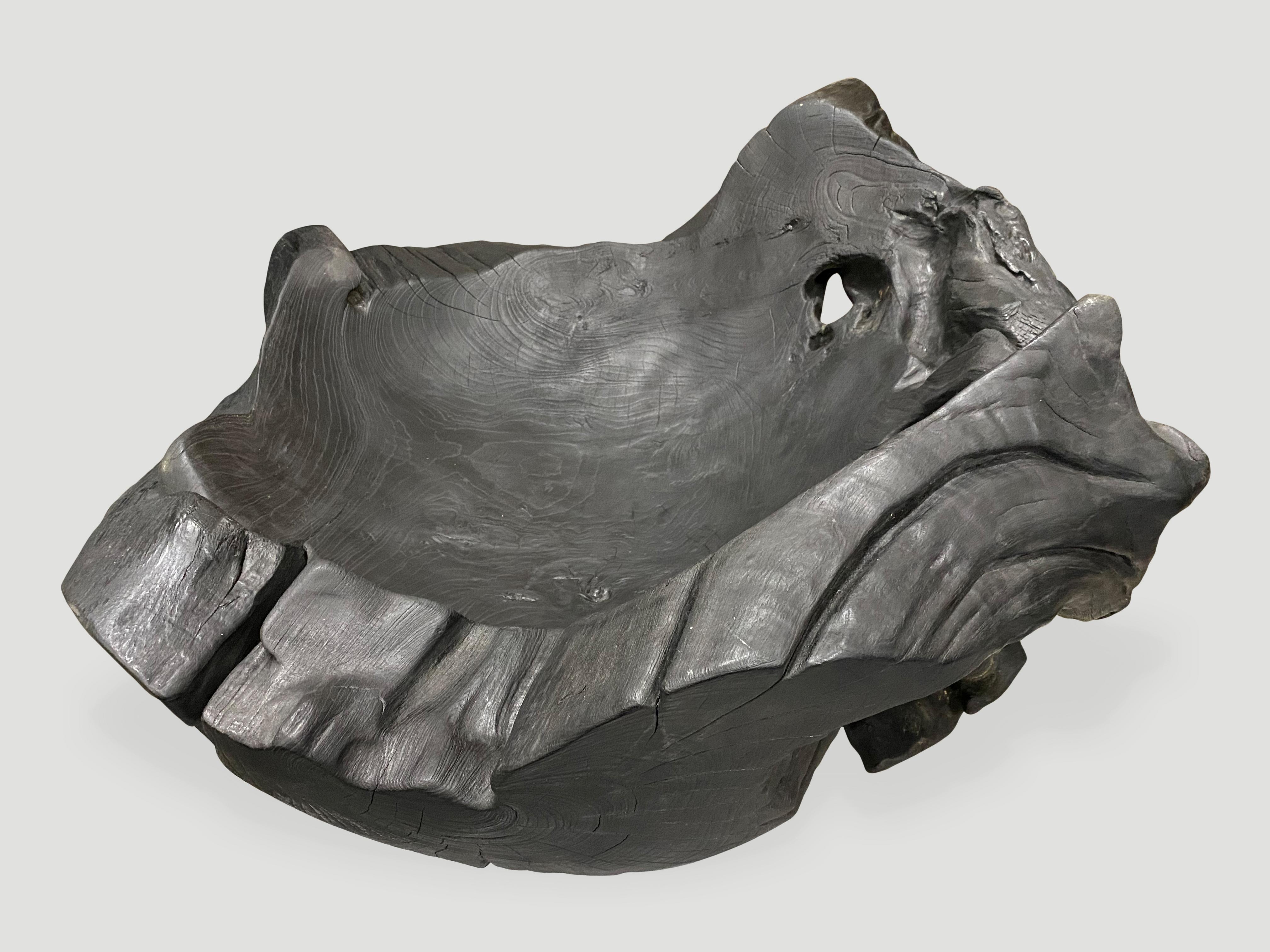 Organico moderno Andrianna Shamaris Vaso scultoreo in legno di teak sovradimensionato e carbonizzato