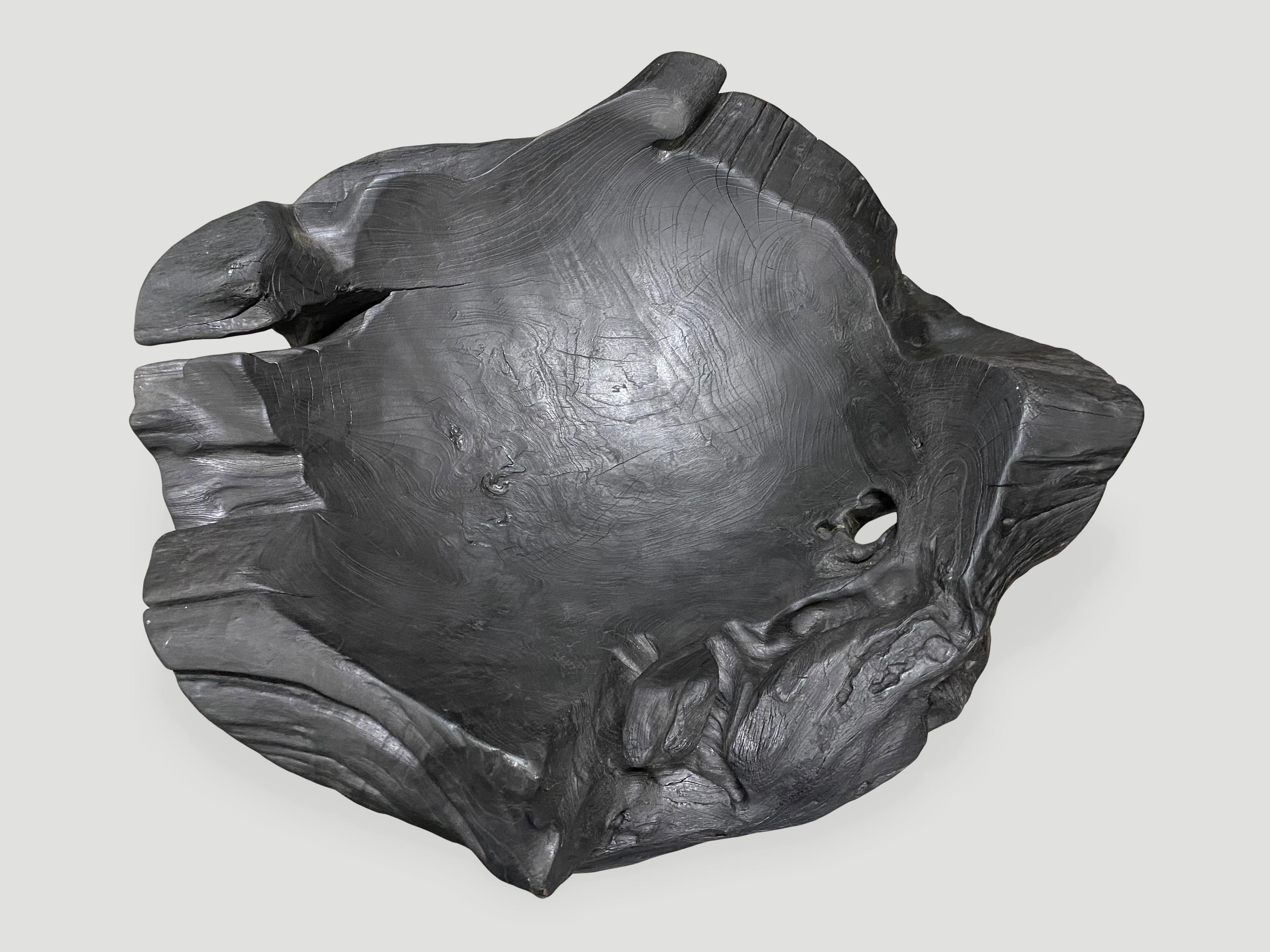 Andrianna Shamaris Übergroßes skulpturales Gefäß aus gehärtetem Teakholz im Zustand „Hervorragend“ im Angebot in New York, NY