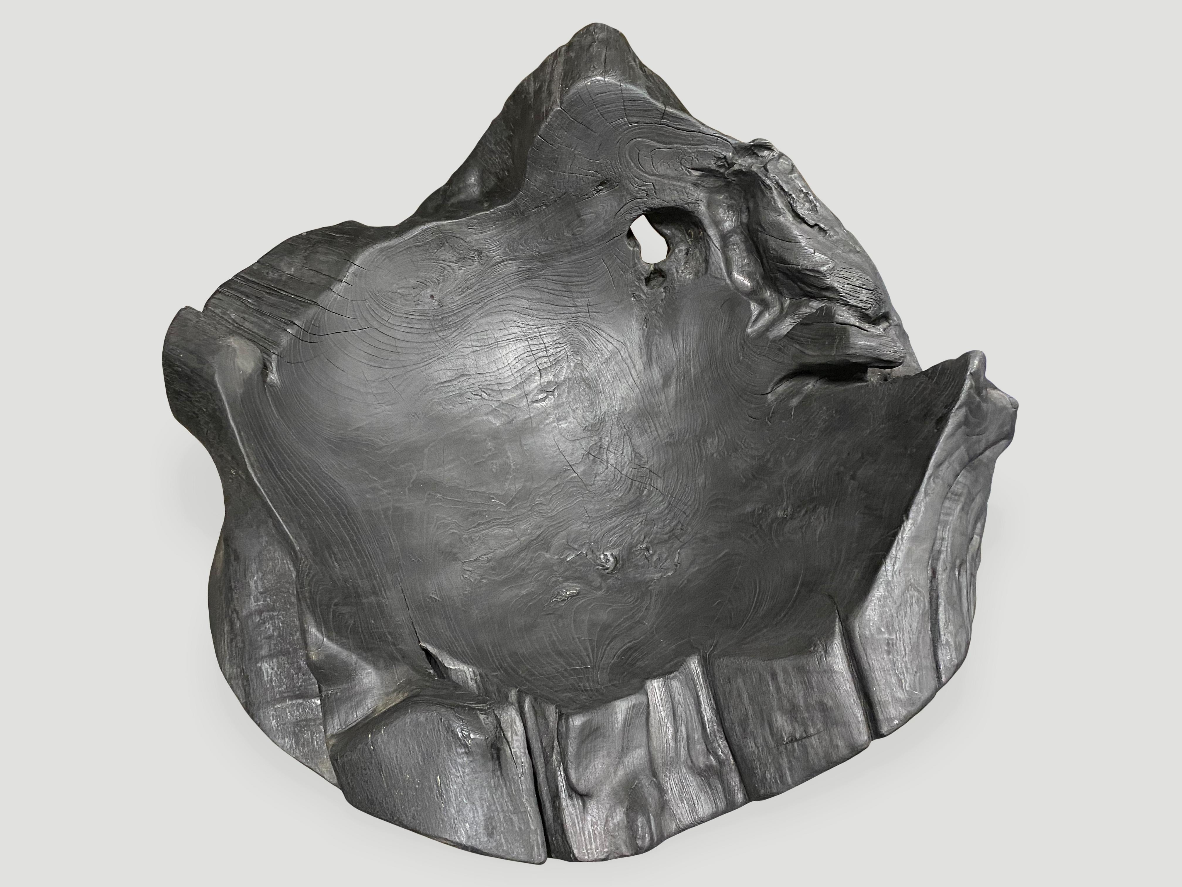 Andrianna Shamaris Übergroßes skulpturales Gefäß aus gehärtetem Teakholz (21. Jahrhundert und zeitgenössisch) im Angebot
