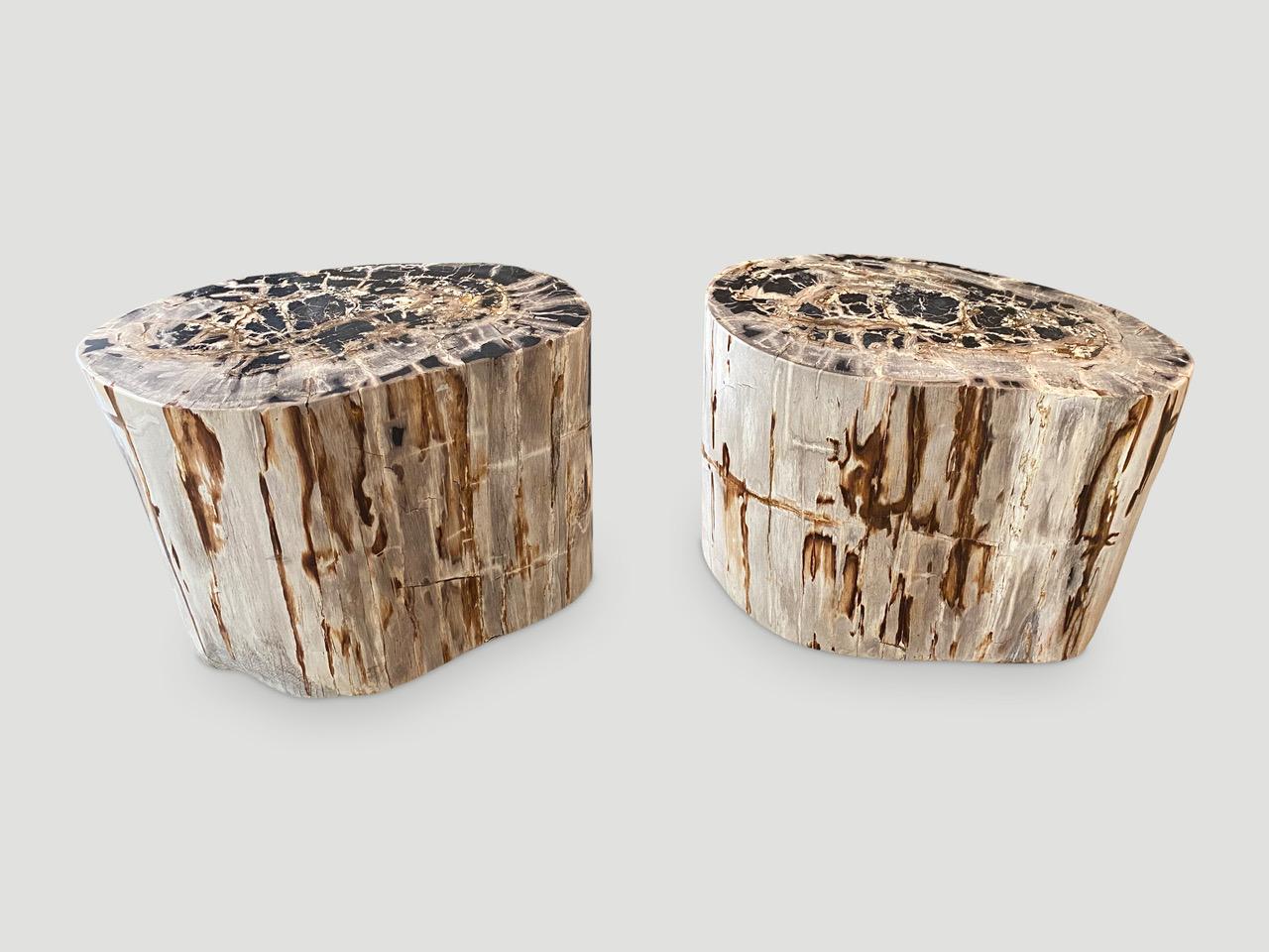 Impressive pair of beautiful high quality petrified wood side tables. These were cut from the same log. It’s fascinating how Mother Nature produces these exquisite 40 million year old petrified teak logs with such contrasting colors and natural