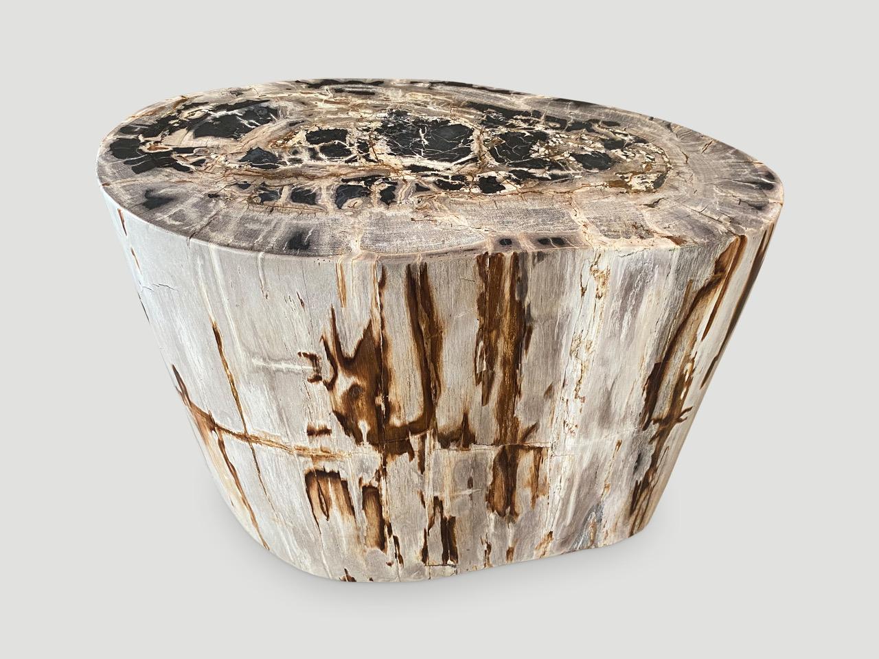 Andrianna Shamaris Pair of Impressive Petrified Wood Side Tables In Excellent Condition In New York, NY