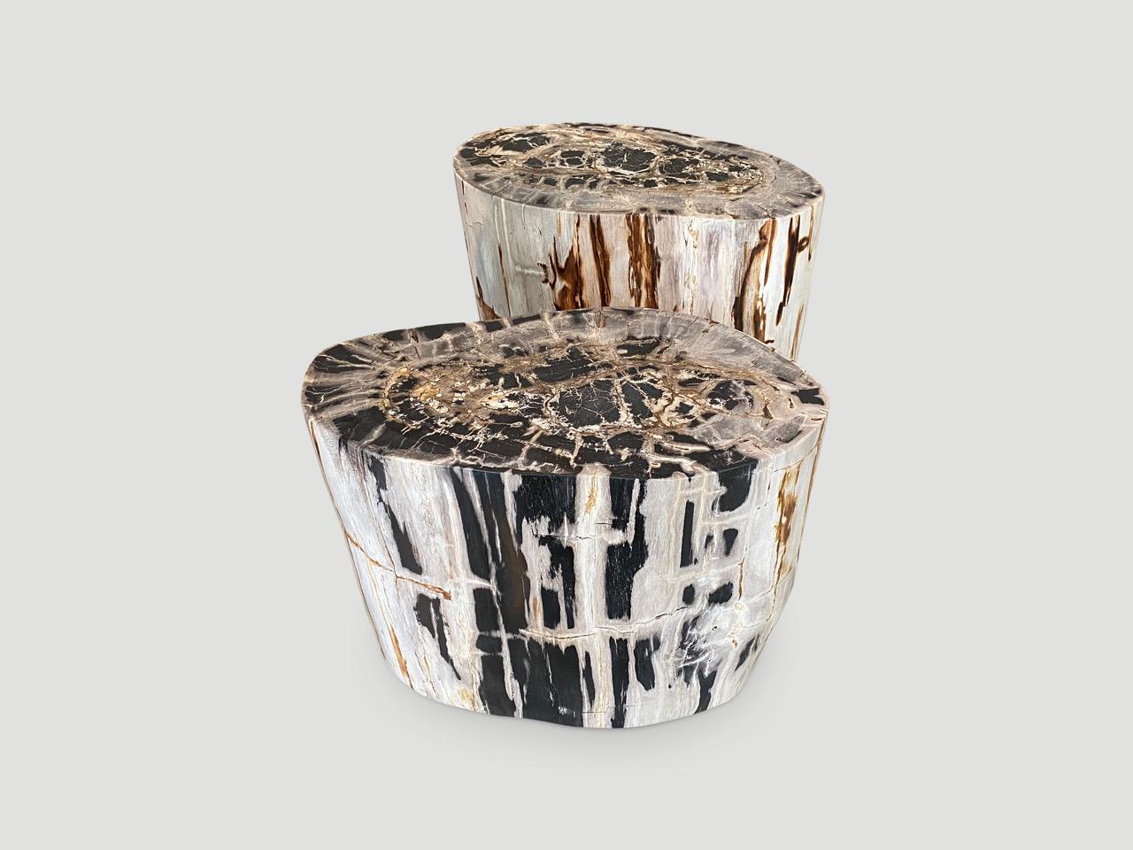 18th Century and Earlier Andrianna Shamaris Pair of Impressive Petrified Wood Side Tables
