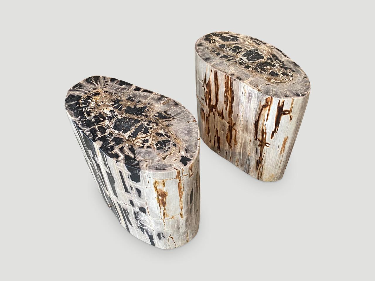 Andrianna Shamaris Pair of Impressive Petrified Wood Side Tables 1