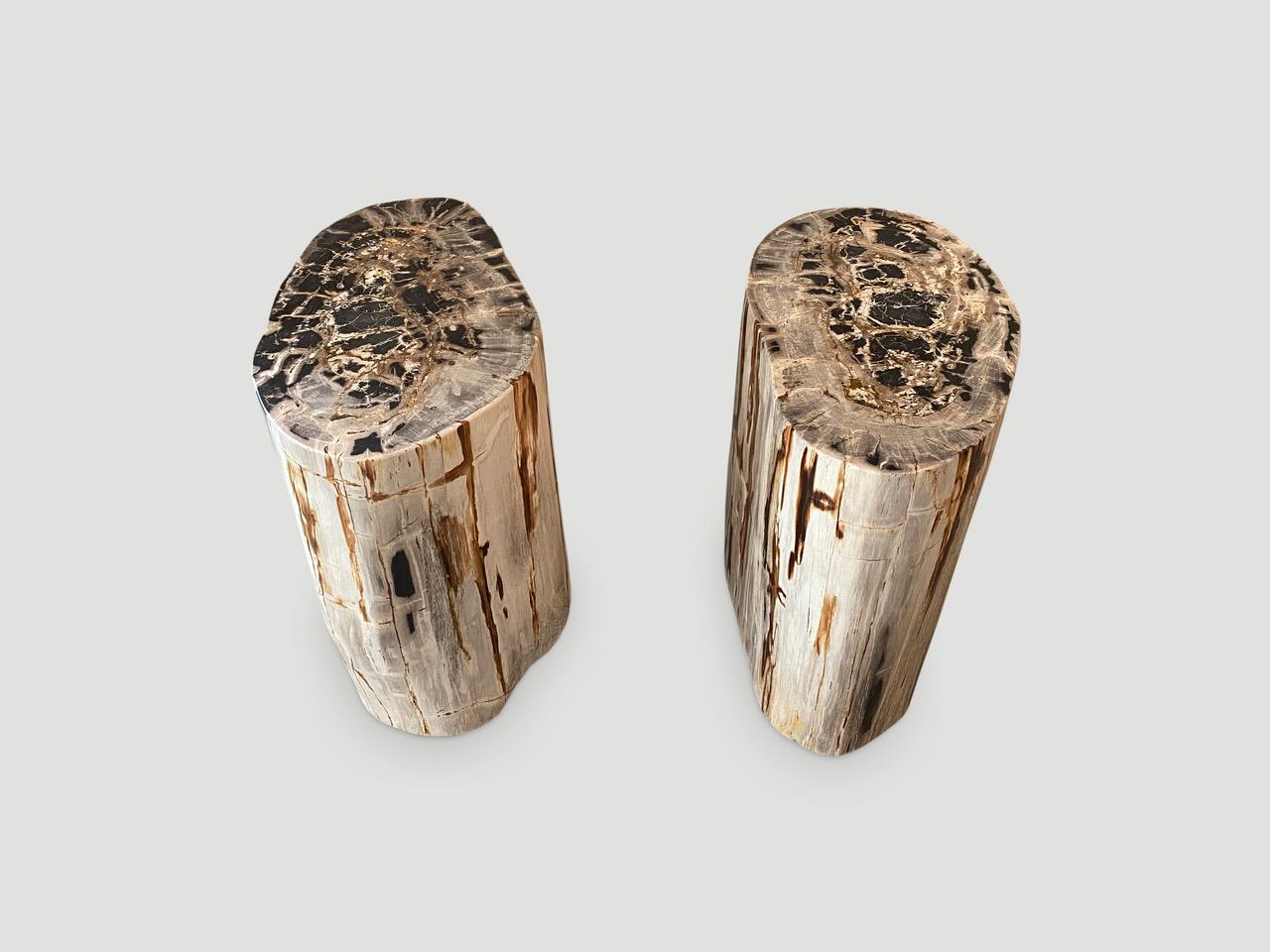 Andrianna Shamaris Pair of Impressive Petrified Wood Side Tables 2