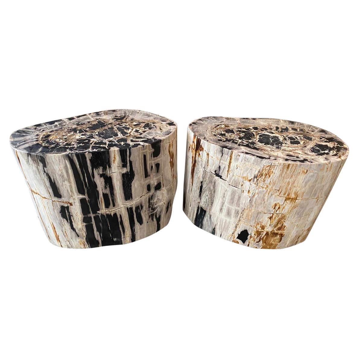 Andrianna Shamaris Pair of Impressive Petrified Wood Side Tables