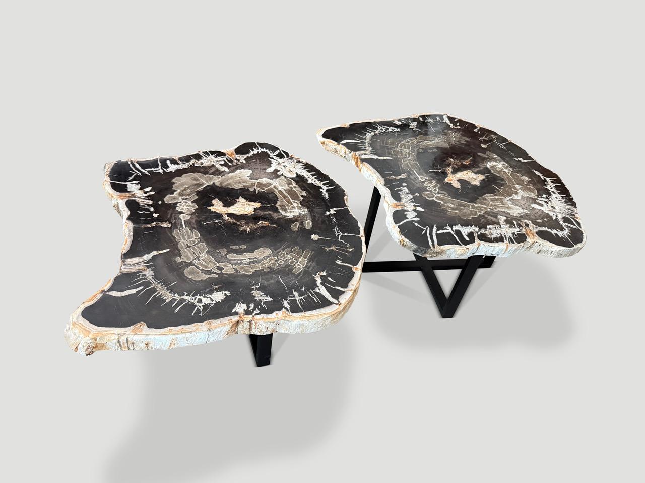 Hermosas losas antiguas y gruesas de madera petrificada de alta calidad, flotando sobre minimalistas bases en cruz de metal negro. Uno mide 18