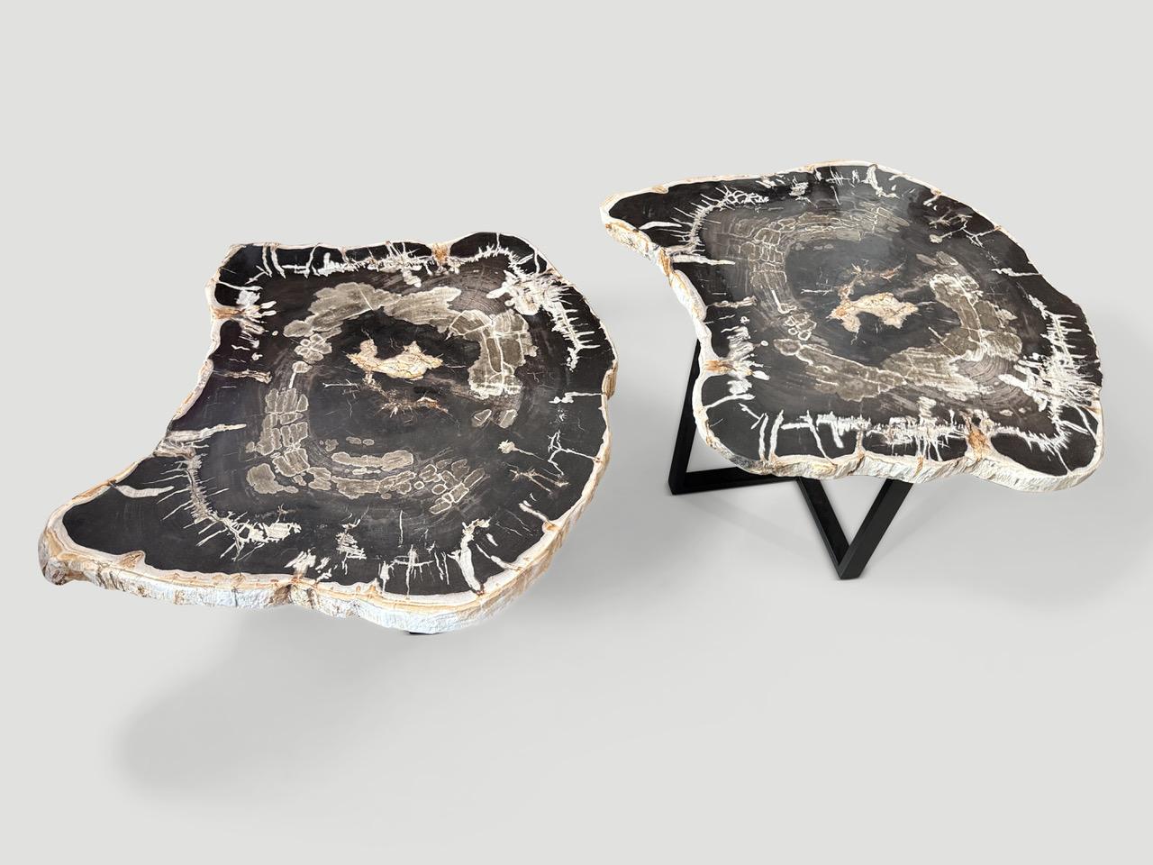 Andrianna Shamaris Pareja de mesas bajas o auxiliares de madera petrificada Moderno orgánico en venta