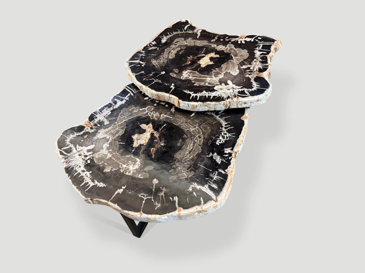 Andrianna Shamaris Pareja de mesas bajas o auxiliares de madera petrificada en Excelente estado para la venta en New York, NY