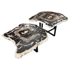 Andrianna Shamaris Pair of Petrified Wood Coffee Tables or Side Tables