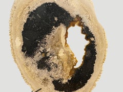 Andrianna Shamaris Palm Petrified Wood on Stand