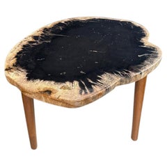 Andrianna Shamaris Palm – Beistelltisch aus versteinertem Holz mit Teakholz-Gestell
