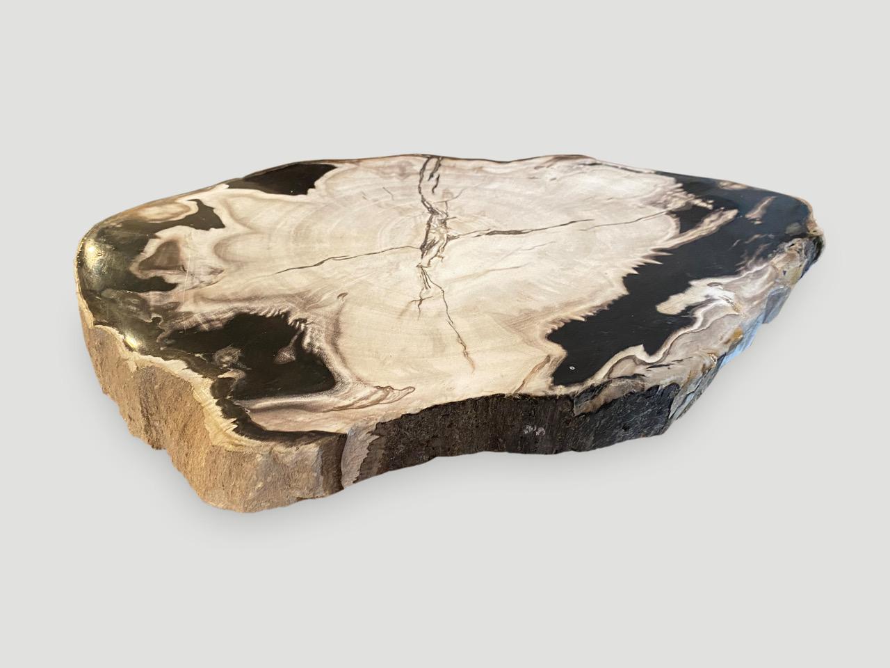 Organic Modern Andrianna Shamaris Petrified Wood Black and White Slab