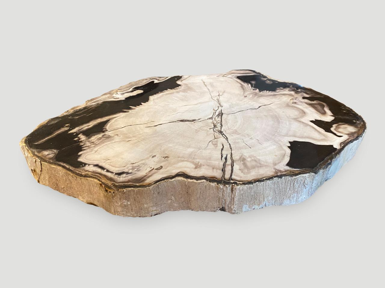 Andrianna Shamaris Petrified Wood Black and White Slab In Excellent Condition In New York, NY