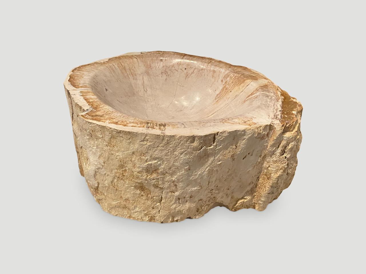 Beautiful petrified wood bowl. We have polished the inside and left the outer layer raw in contrast.

As with a diamond, we polish the highest quality fossilized petrified wood, using our latest ground breaking technology, to reveal its natural