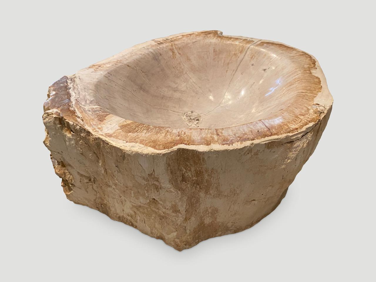 Organic Modern Andrianna Shamaris Petrified Wood Bowl
