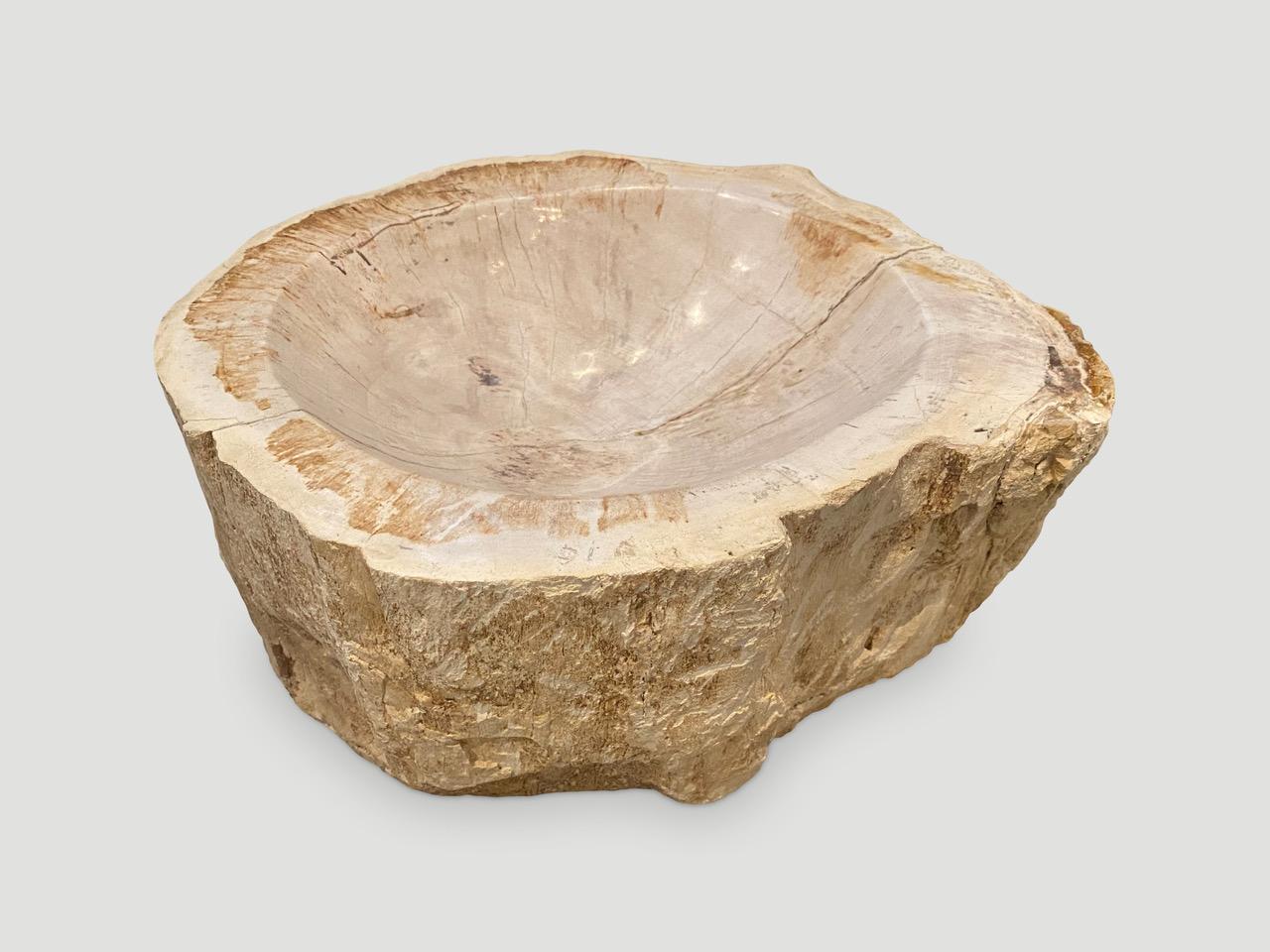 Organic Modern Andrianna Shamaris Petrified Wood Bowl