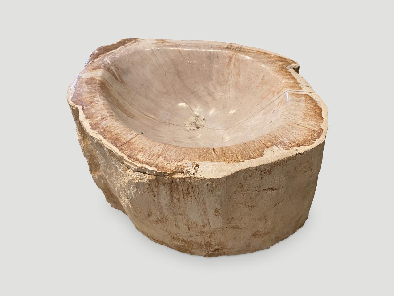 Andrianna Shamaris Petrified Wood Bowl In Excellent Condition In New York, NY