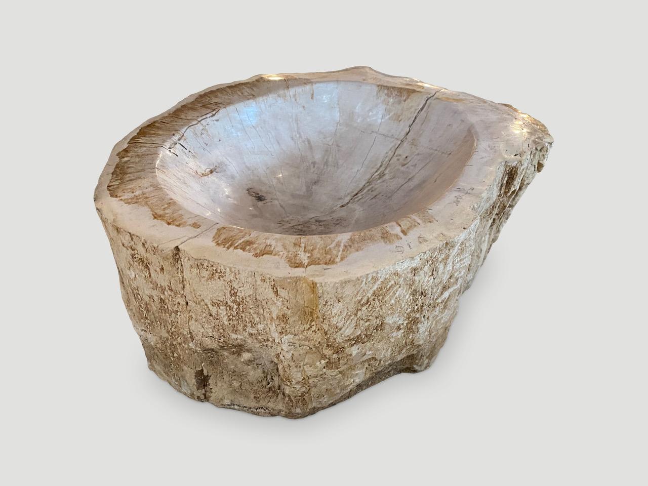 Andrianna Shamaris Petrified Wood Bowl In Excellent Condition In New York, NY