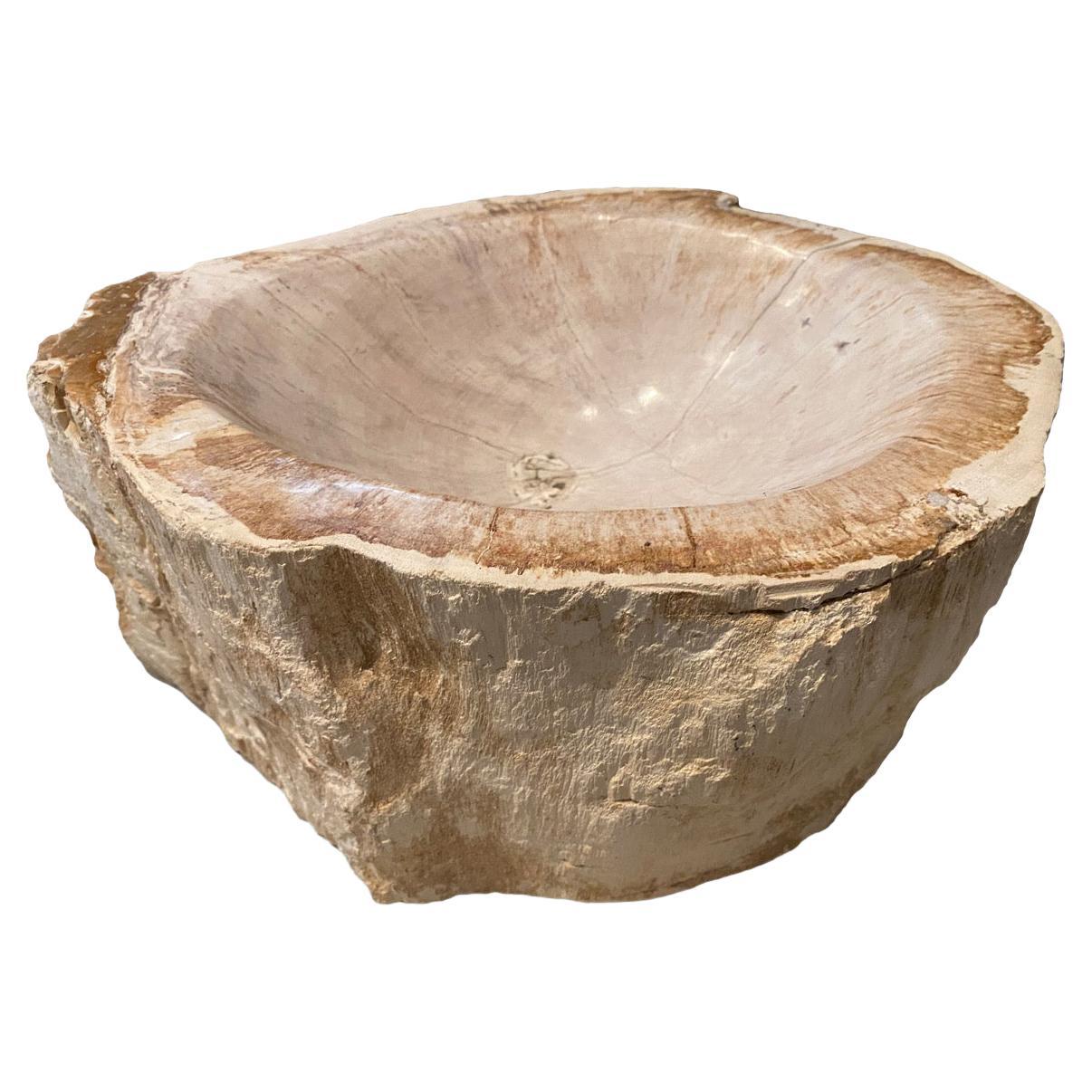 Andrianna Shamaris Petrified Wood Bowl