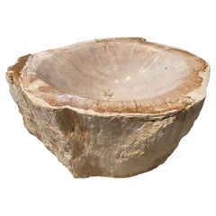 Antique Andrianna Shamaris Petrified Wood Bowl