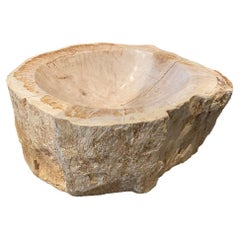 Andrianna Shamaris Petrified Wood Bowl