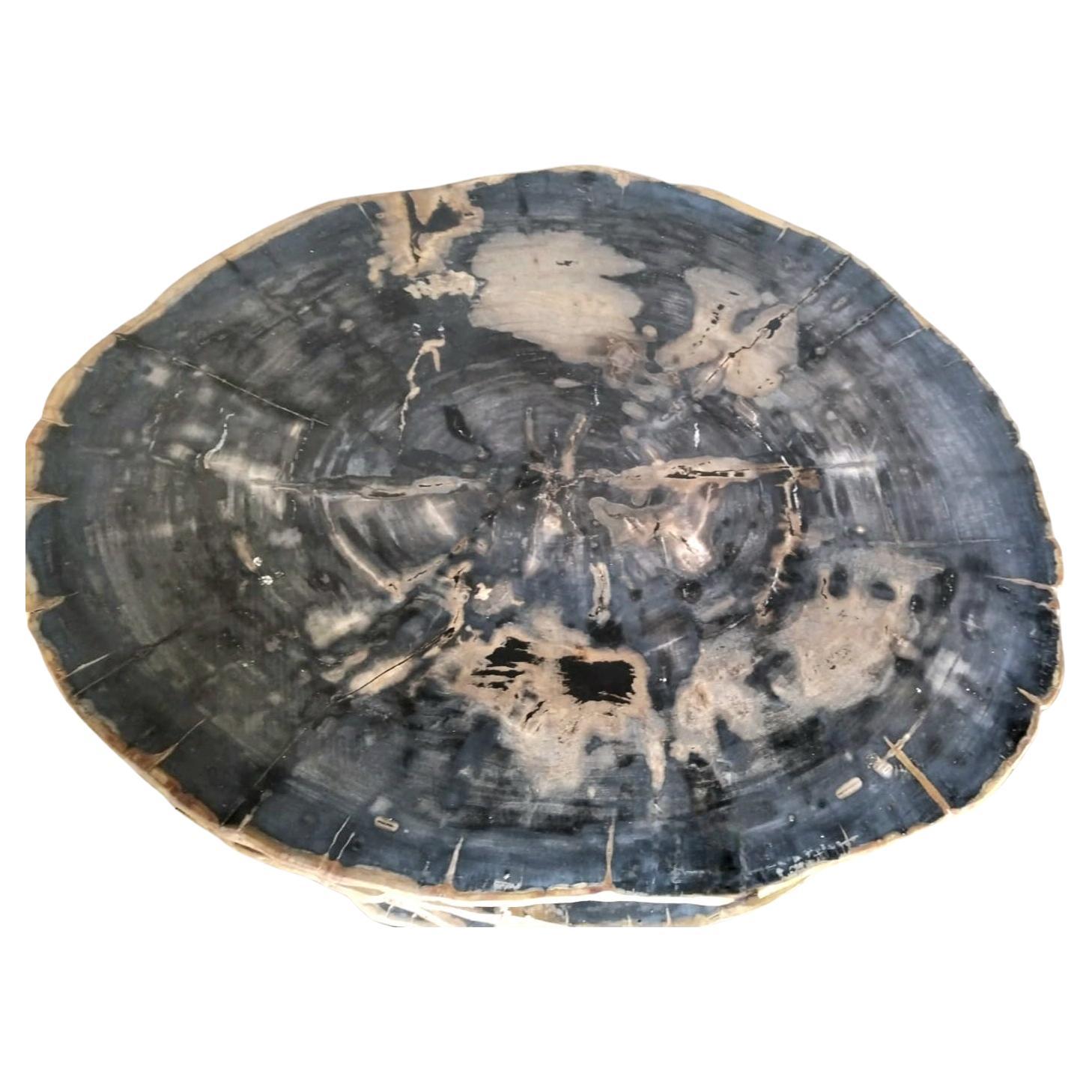 Andrianna Shamaris Petrified Wood Coffee Table W/ Teak Base--VIVIAN