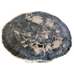 Andrianna Shamaris Petrified Wood Coffee Table W/ Teak Base--VIVIAN