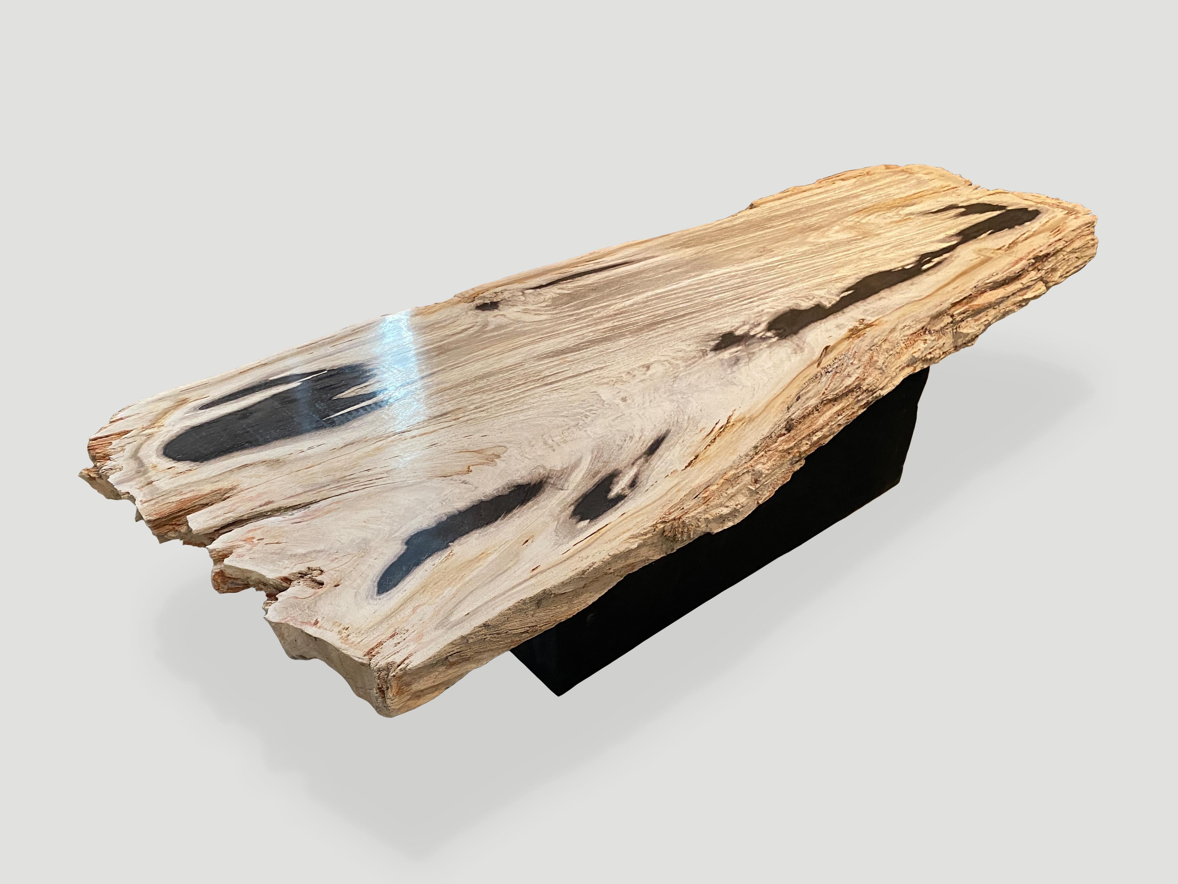 Organic Modern Andrianna Shamaris Petrified Wood Live Edge Coffee Table or Console