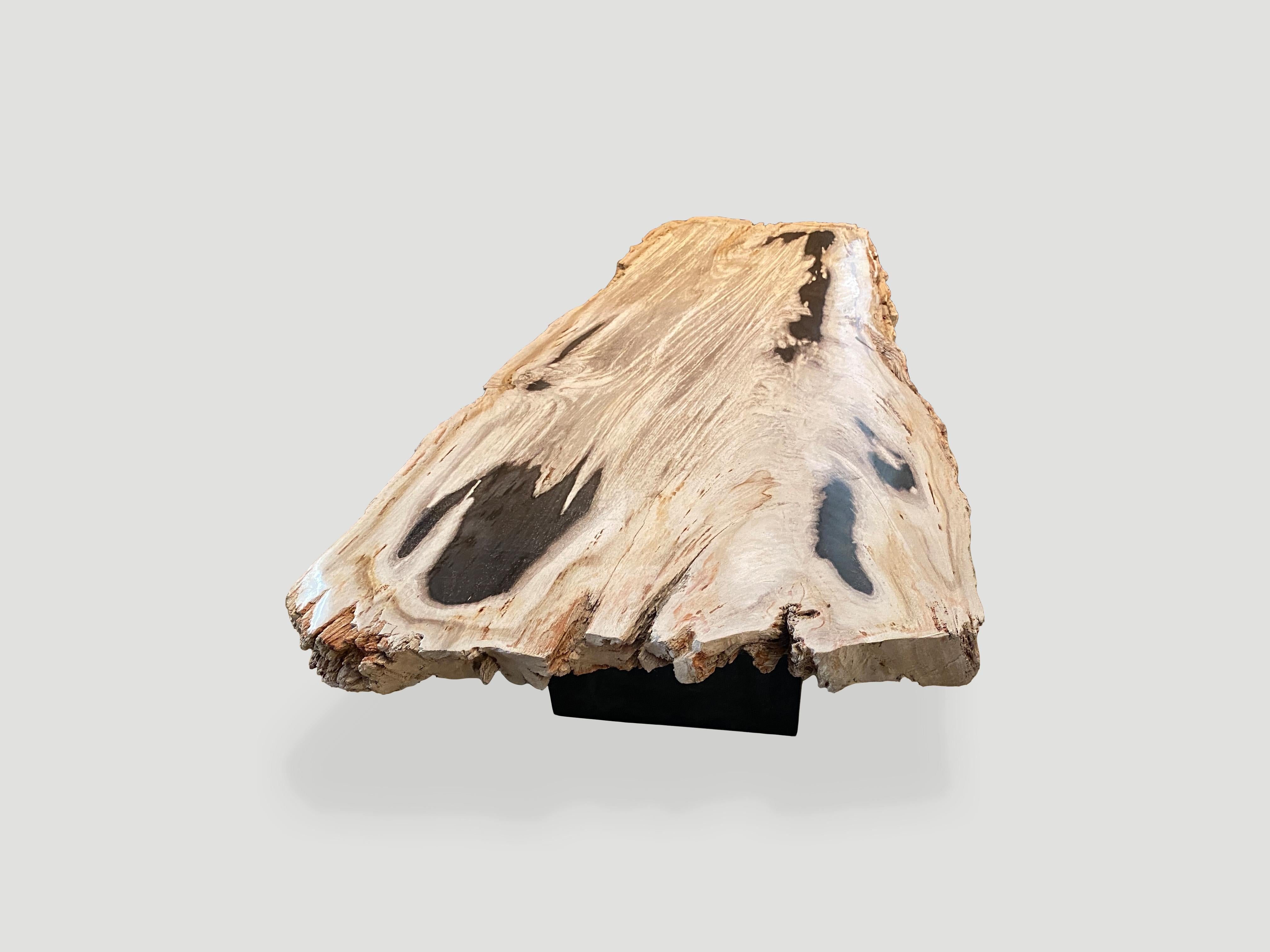 Contemporary Andrianna Shamaris Petrified Wood Live Edge Coffee Table or Console